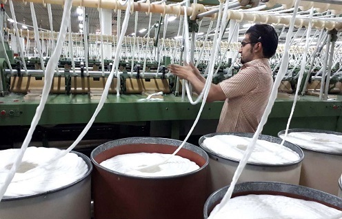 واردات بی‌رویه و ورود کالا از مسیرهای ملوانی و کولبری به ضرر تولید است