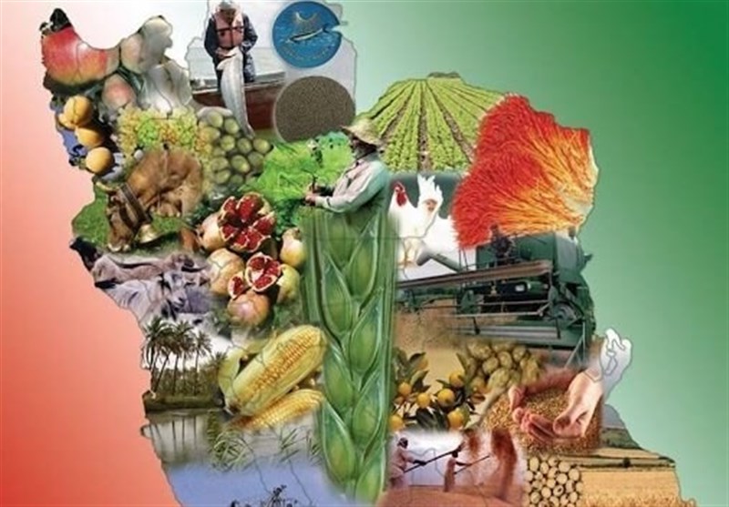  ذخایر کالاهای اساسی به وضعیت مازاد رسید 