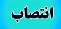 معاون جدید وزارت اقتصاد معرفی شد / انتصاب سرپرست صندوق فولاد