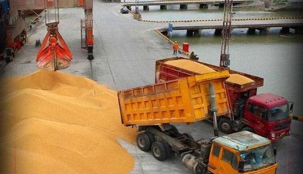 دستور واردات فوری ۱.۵ میلیارد دلار کالای اساسی