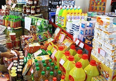 منابع صندوق توسعه ملی به واردات کالاهای اساسی اختصاص یافت