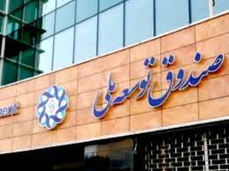 صندوق توسعه ملی برای پرداخت وام ارزی به بانک ها اعلام آمادگی کرد