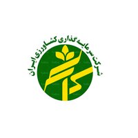 کورزی ۳ ماهه چقدر زیان ثبت کرد