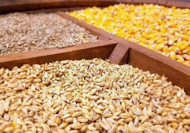  وزارت نفت نتوانست ارز واردات کالاهای اساسی را بپردازد/ ٢٠ فروند کشتی منتظر تخلیه هستند 