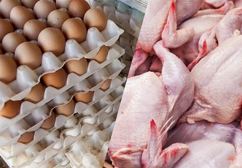 جزئیات کاهش قیمت مرغ، تخم مرغ و گوشت قرمز در بازار 