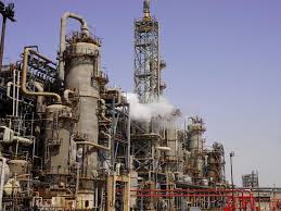 انفجار صادراتی نوری/ فروش دی‌ماه از ۲۲ همت عبور کرد