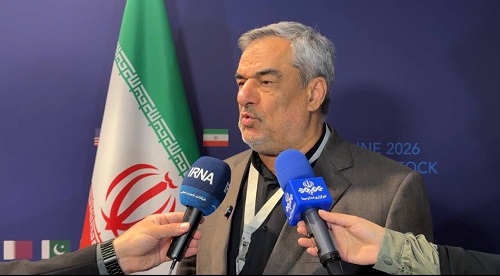 مدیرعامل شرکت ملی نفت: رفع تحریم‌های نفتی در مذاکرات سوئیس پیگیری شد