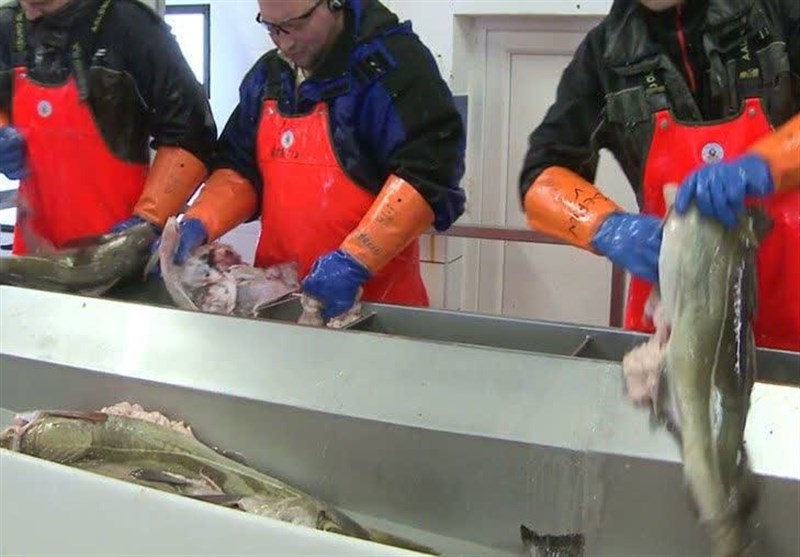  تولید بسته‌بندی‌های ضدباکتری مواد غذایی