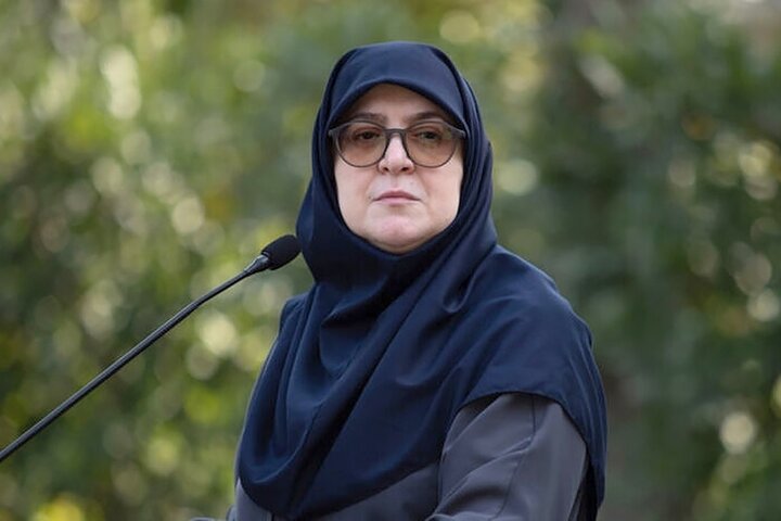 مهاجرانی: دولت به دنبال کاهش فشار ناترازی انرژی بر واحدهای تولیدی است