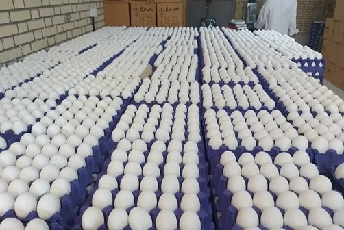 قیمت هرکیلو تخم مرغ درب مرغداری به ۱۰۰ هزارتومان رسید