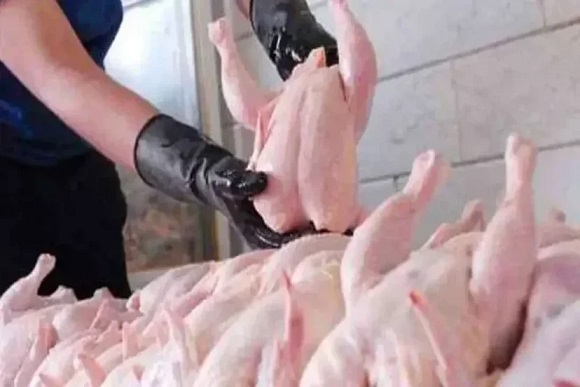 مشکلی در عرضه مرغ نداریم،قیمت هرکیلو مرغ ۲۰۰ هزارتومان