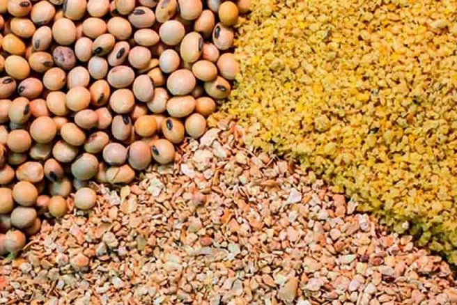 نهاده‌های فروخته شده گران نمی‌شود
