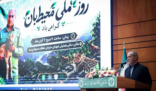 پزشکیان: حفاظت از محیط زیست باید از مرحله مقابله با تخریب به مدیریت پیشگیرانه تغییر کند
