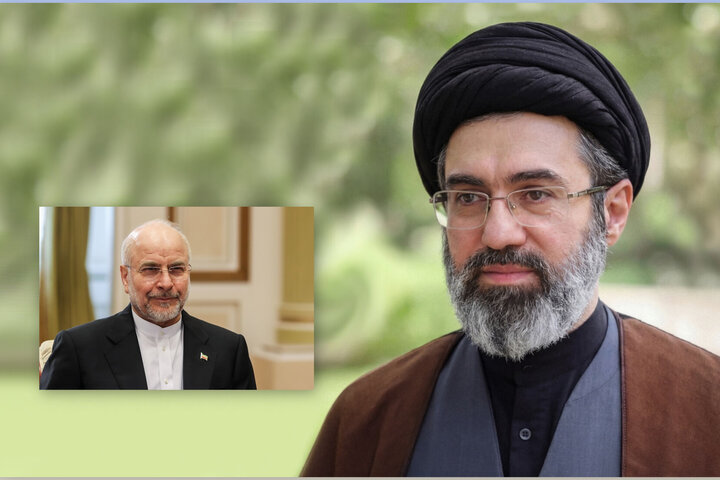 دیدار رئیس مجلس شورای اسلامی با رهبر معظم انقلاب