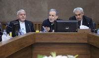 عراقچی: کشورهای همسایه از مهم‌ترین ظرفیت‌های اقتصادی ایران در شرایط تحریم هستند