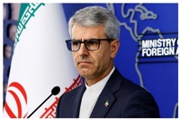 بقائی: آمریکا برای فرار از پذیرش تبعات تجاوز نظامی، ایران را مقصر گرانی سوخت معرفی می‌کند