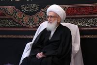 پیشنهاد افزایش نرخ خوراک برای پتروشیمی های متخلف بازگشت ارز