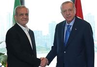پزشکیان و اردوغان دیدار کردند 