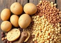  ابلاغ ممنوعیت صادرات حبوبات به گمرکات سراسر کشور 