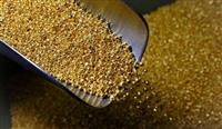 اوضاع و احوال قیمت طلای جهانی