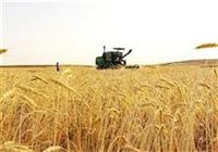 تسریع در حدنگاری و صدور سند زمین‌های کشاورزی