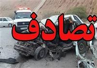  پای "همستر" به تصادفات رانندگی هم باز شد/ هشدار پلیس 