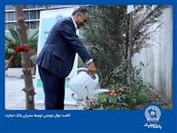 مدیران بانک تجارت نهال دوستی کاشتند