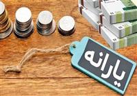 یارانه بیش از ۶.۵ میلیون مشتری بانک ملی ایران پرداخت شد