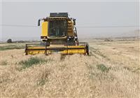 ارائه آمار ذخایر محصولات کشاورزی به مجلس