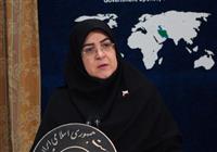 قدردانی سخنگوی دولت از وفاداری هنرمندان متعهد به ایران