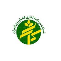 کورزی ۳ ماهه چقدر زیان ثبت کرد