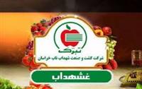 سود «غشهداب» ۴۱ درصد افزایش یافت؛ رشد ۵۱ درصدی سود تلفیقی کشت و صنعت شهداب ناب خراسان