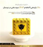 « تابش» در اوج بازار طلا؛ ۷۰٪ بازدهی ۹‌ماهه و ۴۰۴٪ سوددهی در دو سال