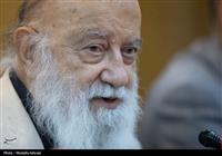  چمران: مالکان ترجیح می‌دهند ملک‌شان باغ نباشد! 