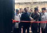 راغفر: ۱۱۷ میلیارد دلار درآمد ارزی صادراتی به کشور بازنگشته است