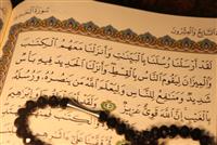 رازی که فرعونیان زمان ما از آن غافلند