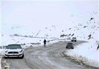 ترافیک سنگین در جاده‌های "هراز و سوادکوه" 