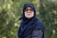 مهاجرانی: دولت به دنبال کاهش فشار ناترازی انرژی بر واحدهای تولیدی است