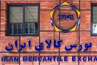 ۱۳ کالای جدید در راه بورس کالا 