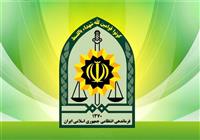 توضیح پلیس درباره بازداشت یکی از بازیگران معروف