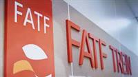 FATF مانع واردات واکسن بود؟
