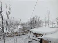 سرچشمه اسفراین رکورددار بارندگی‌ها در خراسان شمالی طی ۲۴ ساعت گذشته