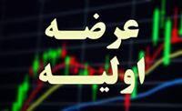 مشخصات شرکت پتروشیمی ۶۵۰ میلیارد تومانی درج شده و آماده عرضه اولیه