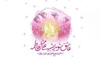 مشهدانی: هرگز راه حل دو دولت را نخواهیم پذیرفت
