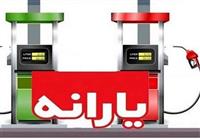  مسافرت خارجی، دلیل اصلی حذف یارانه ۴۳۰هزار نفر 