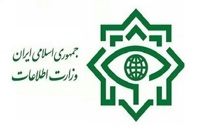 وزارت اطلاعات: ۴ شبکه خرابکاری خیابانی منهدم شدند