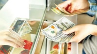 قیمت دلار امروز 26 مرداد 1405 / دلار آرام گرفت