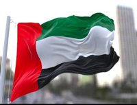 دادستان کل امارات: حادثه فلای دبی تروریستی بود